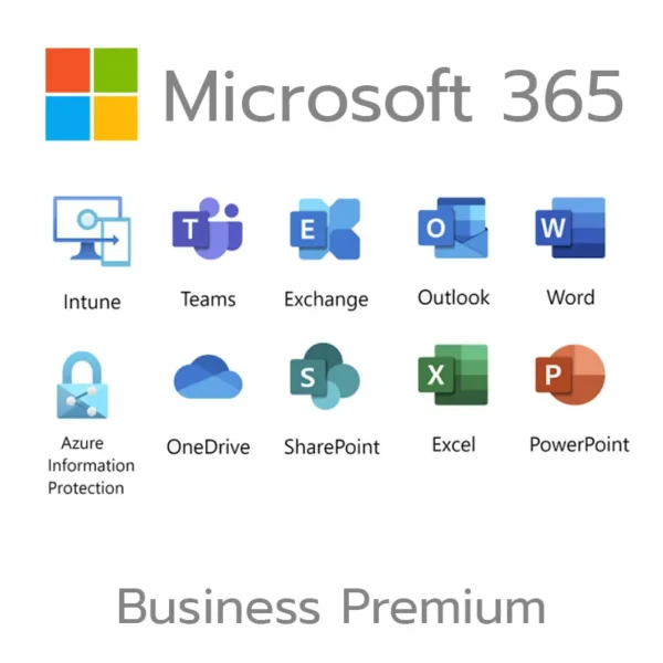 Office 365 Business Premium Admin Panel 1TB 10+300 License Users – Lifetime