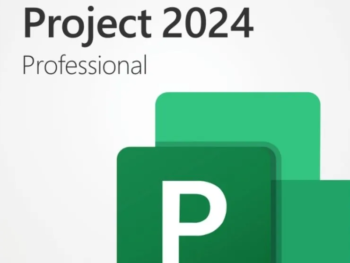 Project Professional 2024 (Bind key)